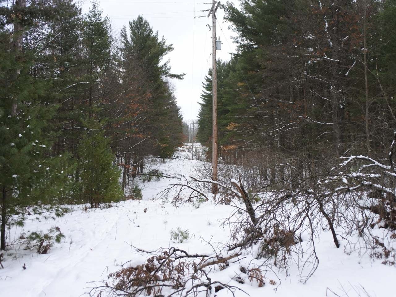 Lot 1 Thoroughfare Road Minocqua, WI 54548 - Photo 14 of 20 Gallery Image 14