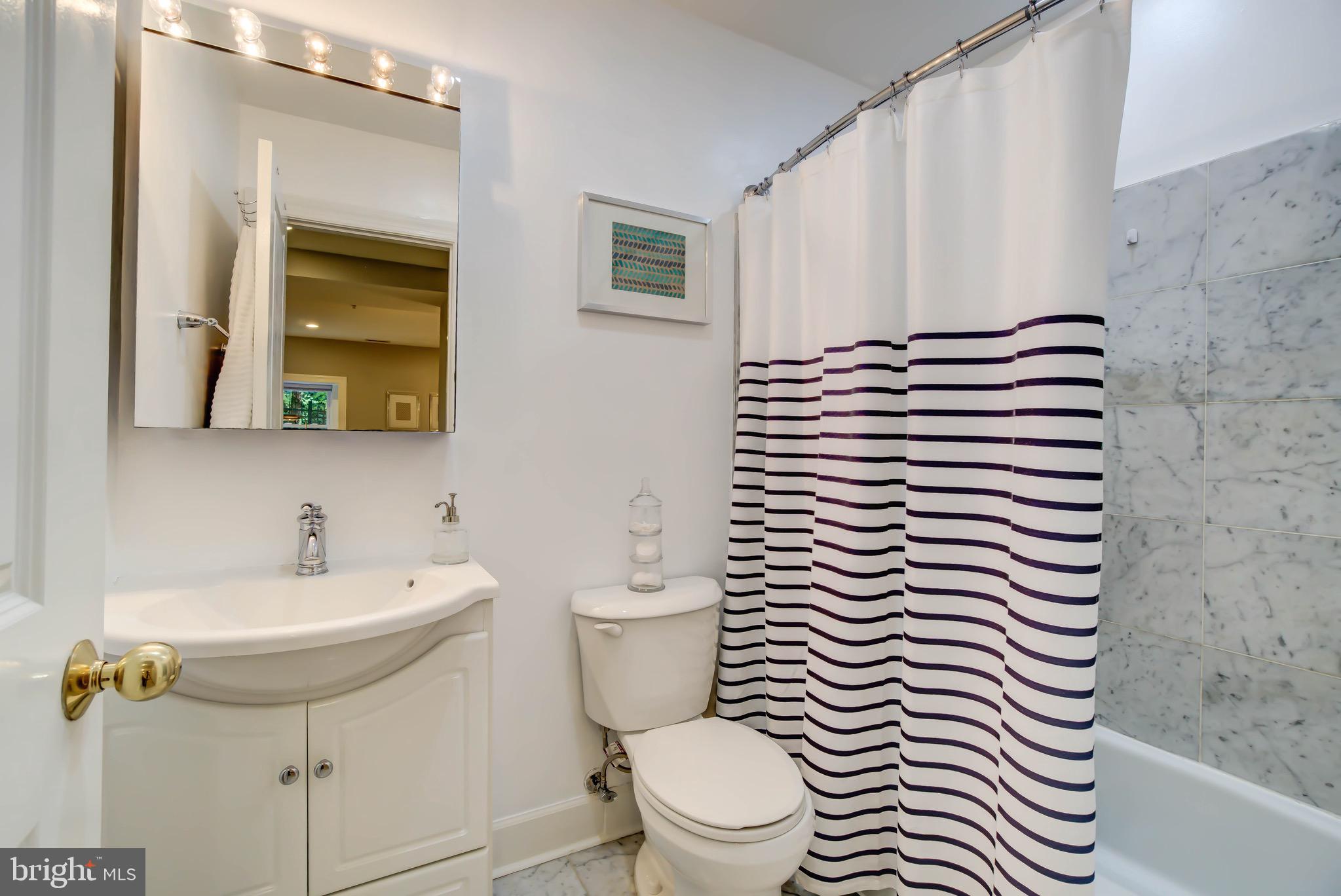 1324 Euclid Street Northwest, Unit 3 Washington, DC 20009 - Photo 14 of 23 a bathroom with a sink a toilet and mirror