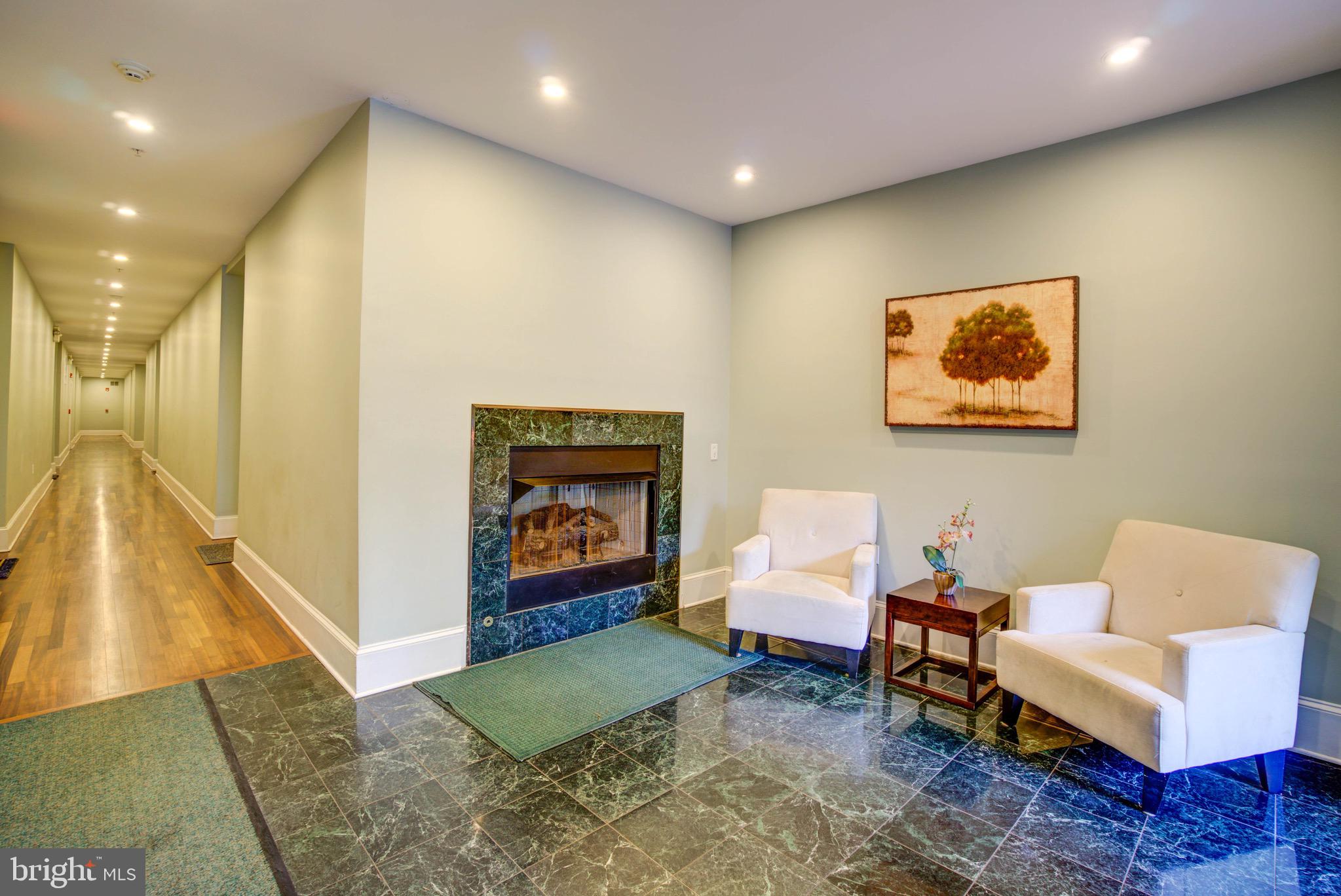 1324 Euclid Street Northwest, Unit 3 Washington, DC 20009 - Photo 22 of 23 a living room with furniture and a fireplace