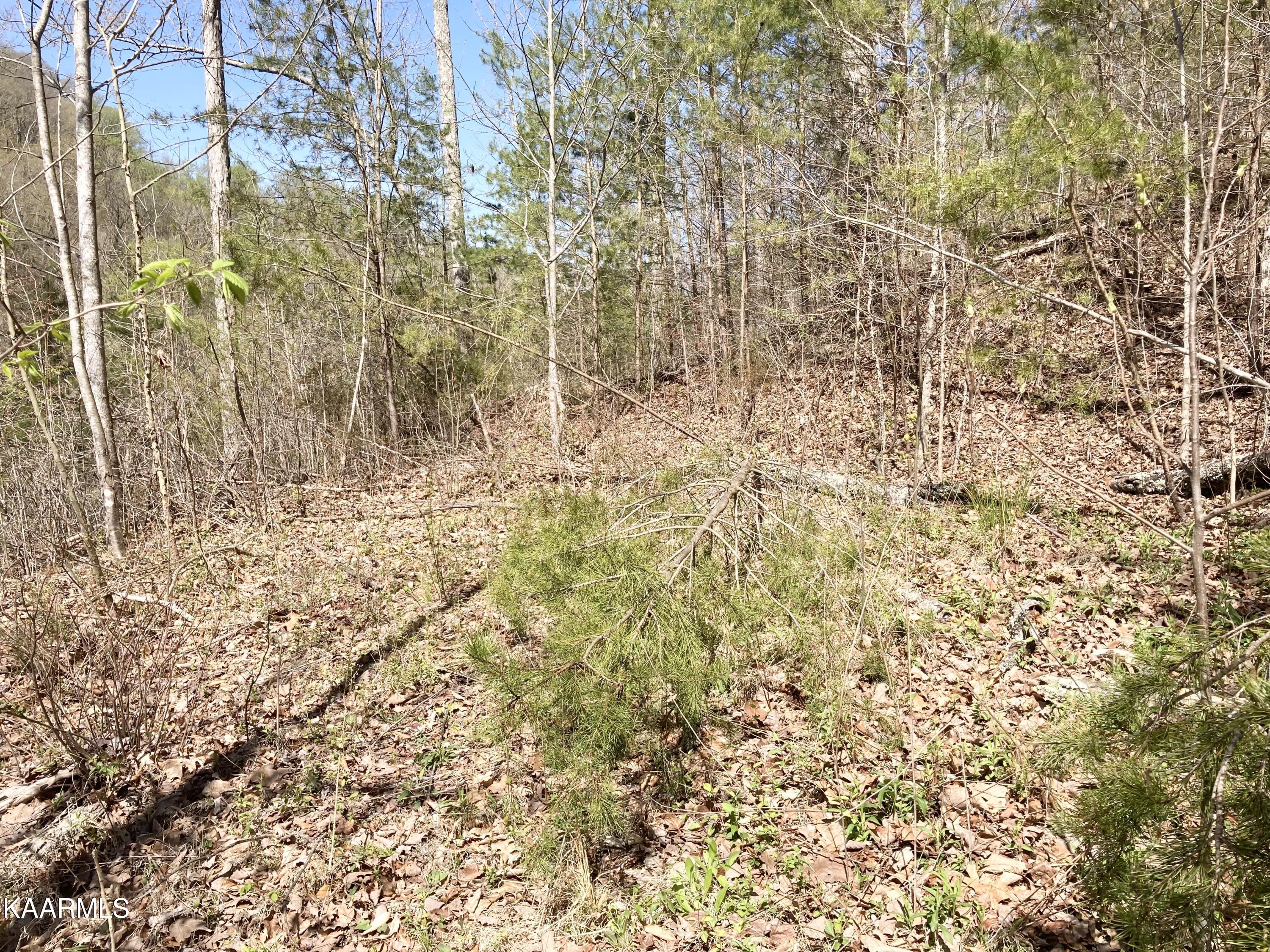 3718 Roberts Road Corryton, TN 37721 - Photo 6 of 11 DF3BF432-AD86-4721-AB20-9BEC9B2301DE