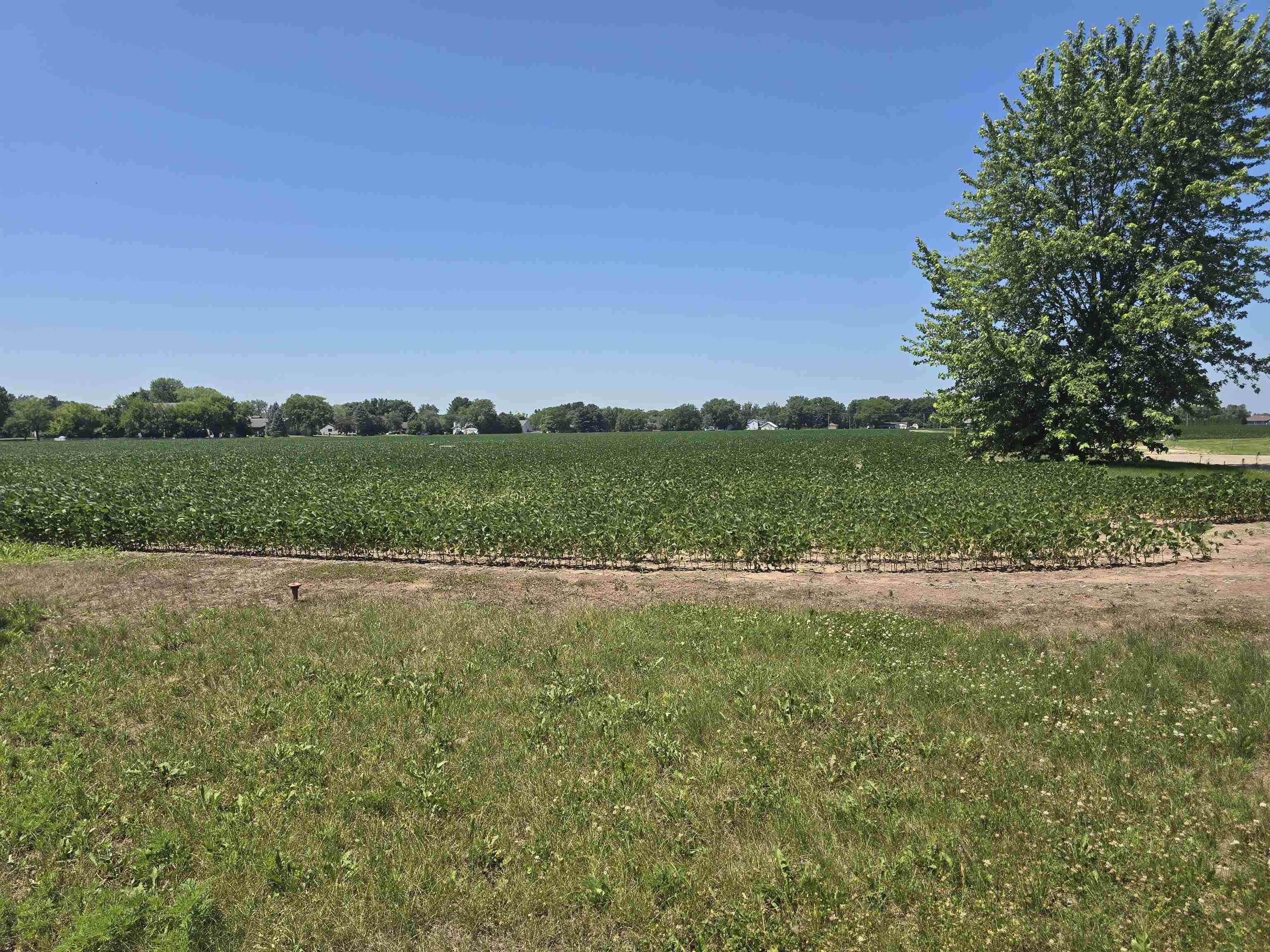 Lot 63 Worcester St Spring Green Spring Green, WI 53588 - Photo 4 of 9