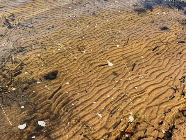 $129,900 | 4800 North Basswood Drive, Webster, WI 54893