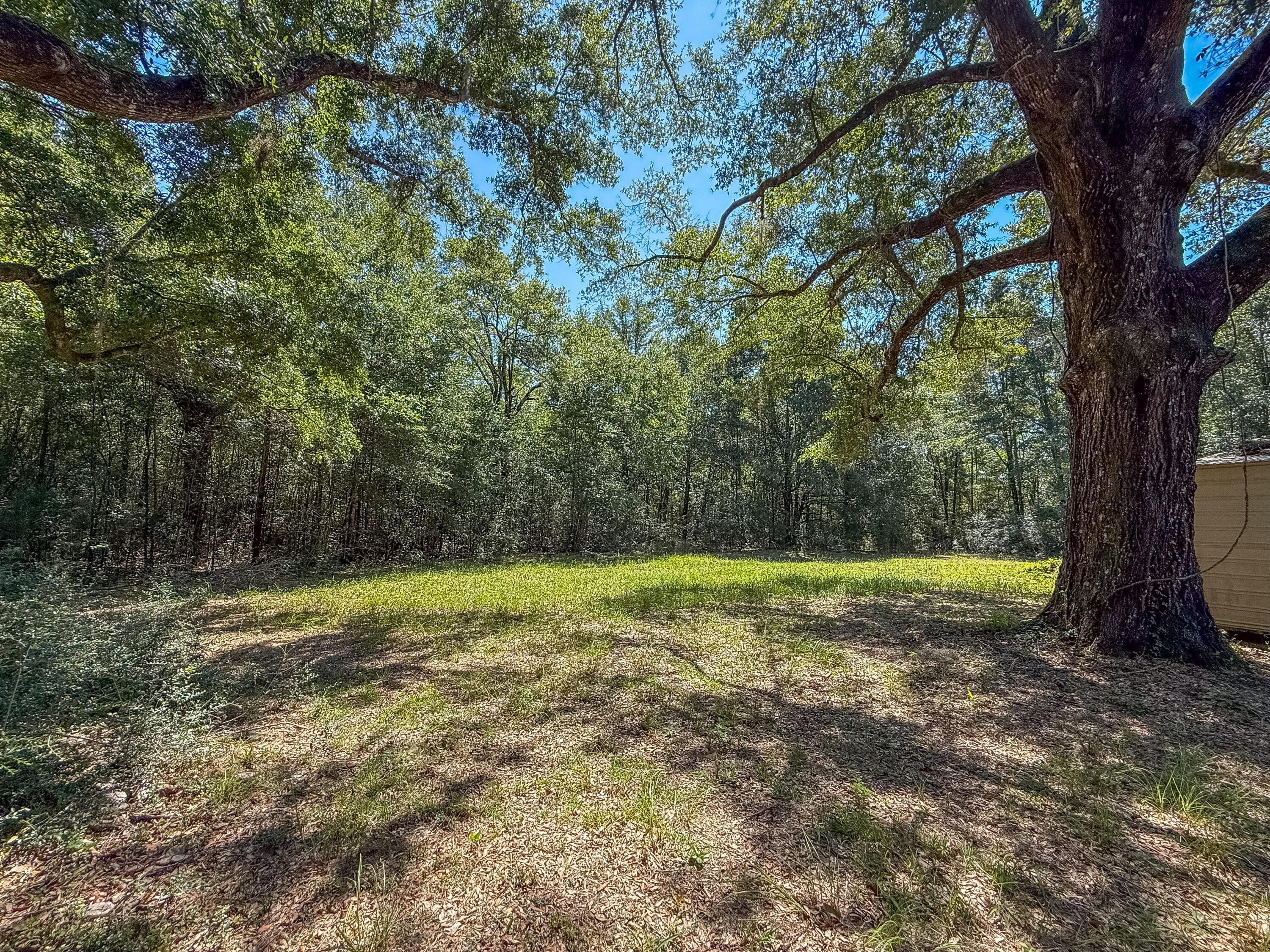 5703 Old River Road Baker, FL 32531 - Photo 23 of 27 IMG_6757-2