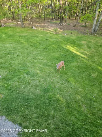 a backyard of a house with lots of green space and trees all around