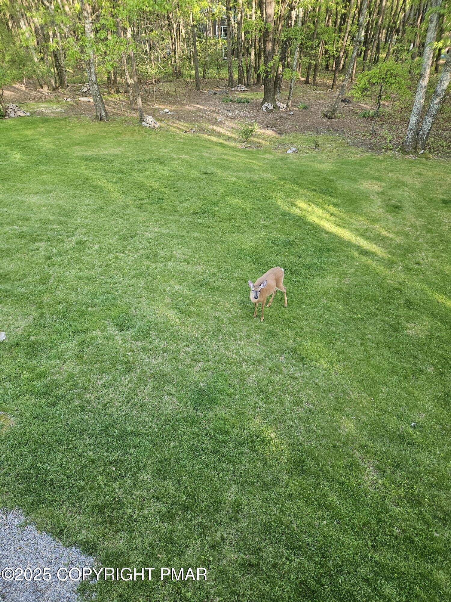 692 Watercrest Avenue Effort, PA 18330 - Photo 29 of 40 a backyard of a house with lots of green space and trees all around