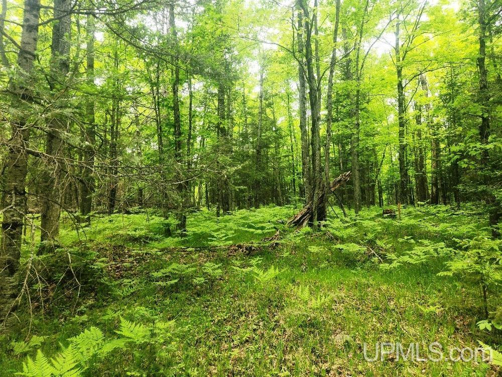 Lot 5 Wilderness Way Road Crystal Falls, MI 49920 - Photo 16 of 25