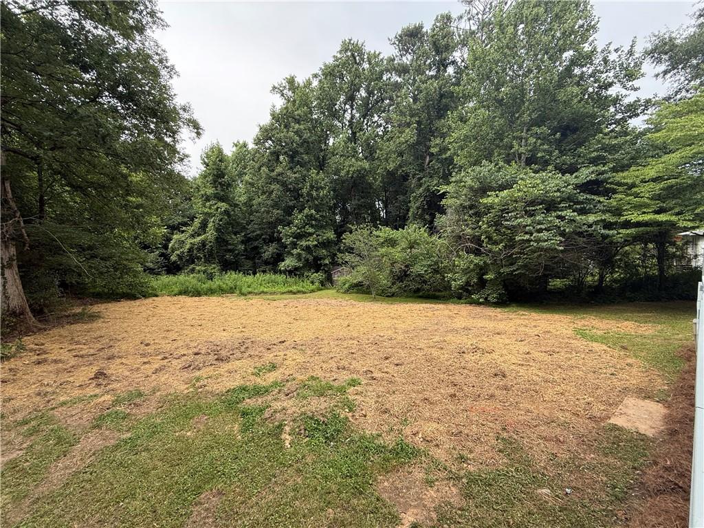358 Rainey Road Temple, GA 30179 - Photo 23 of 24