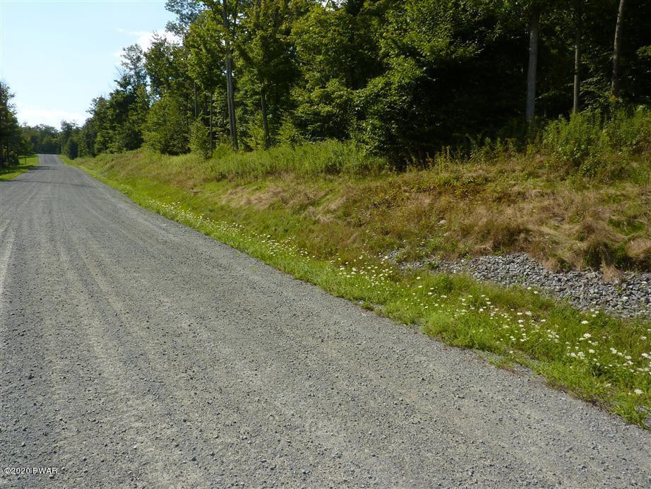 Lot 71 Old Woods Road Equinunk, PA 18417 - Photo 7 of 10