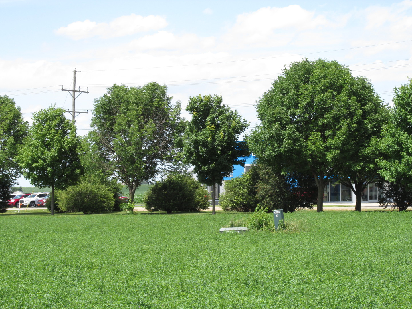 0 Gardner Street Sublette, IL 61367 - Photo 2 of 6 Gallery Image 2