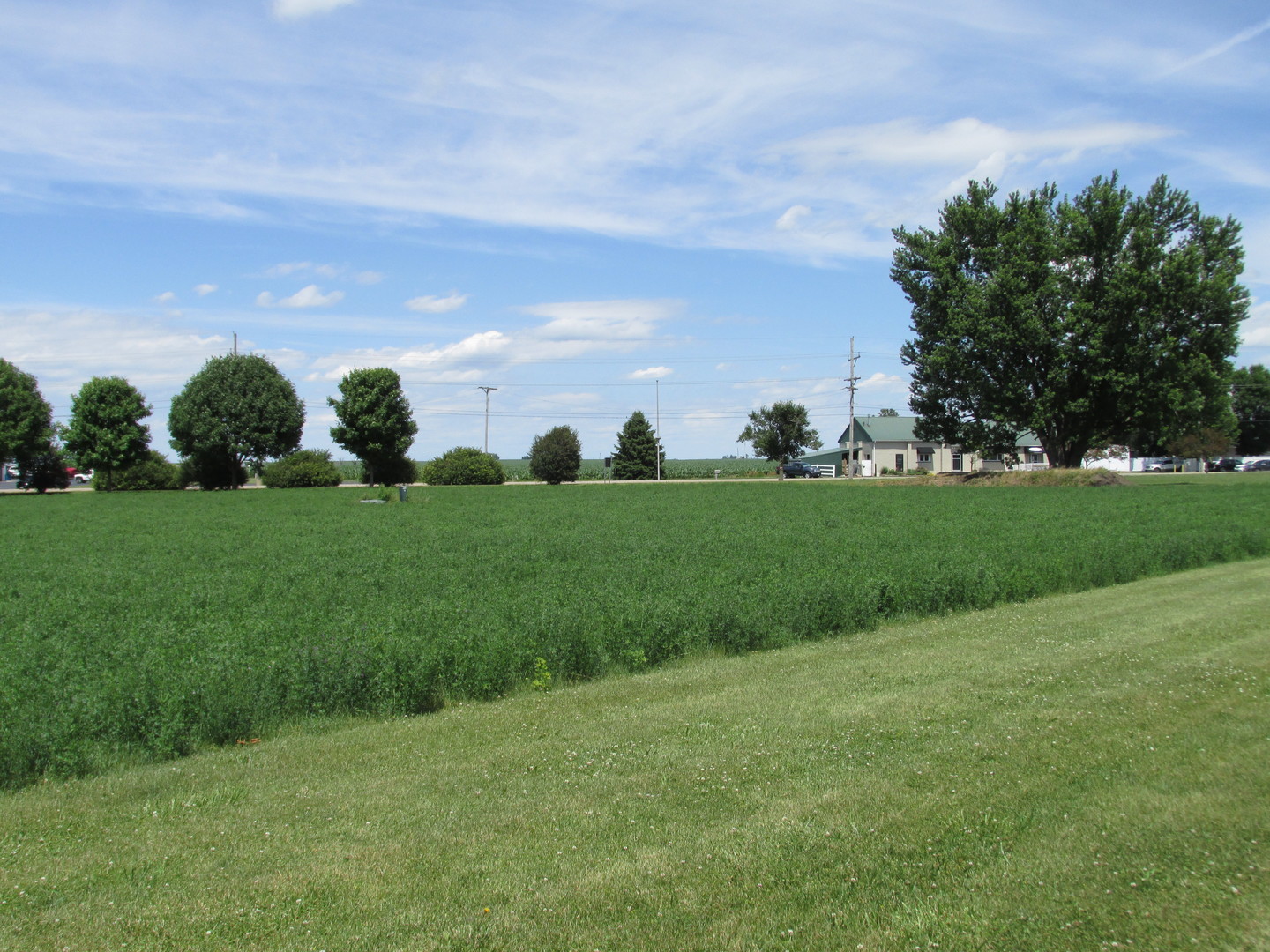 0 Gardner Street Sublette, IL 61367 - Photo 4 of 6 Gallery Image 4