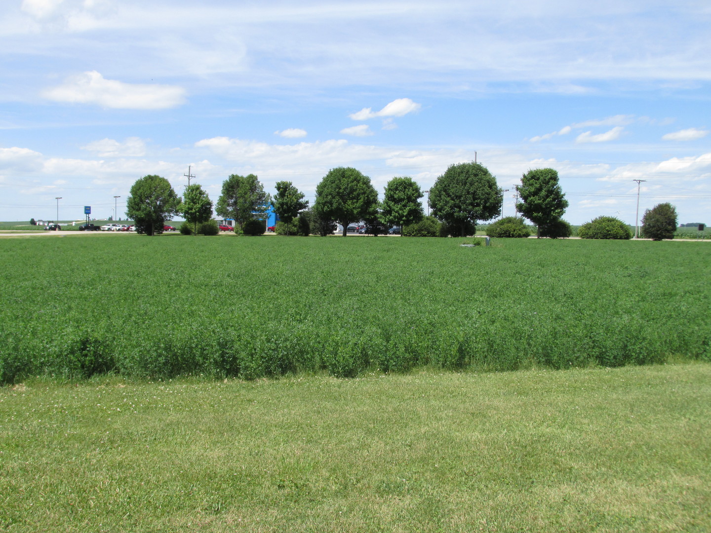 0 Gardner Street Sublette, IL 61367 - Photo 6 of 6 Gallery Image 6