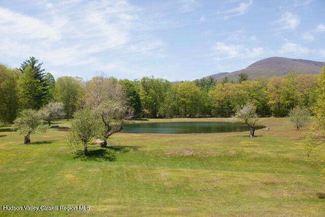 84 Sickler Road Lake Hill, NY 12448 - Photo 4 of 24 a view of a swimming pool with a yard and a mountain view
