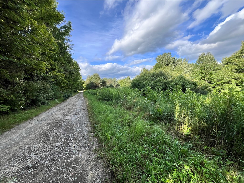 Greenbush Road Erin, NY 14838 - Photo 5 of 38 Gallery Image 5