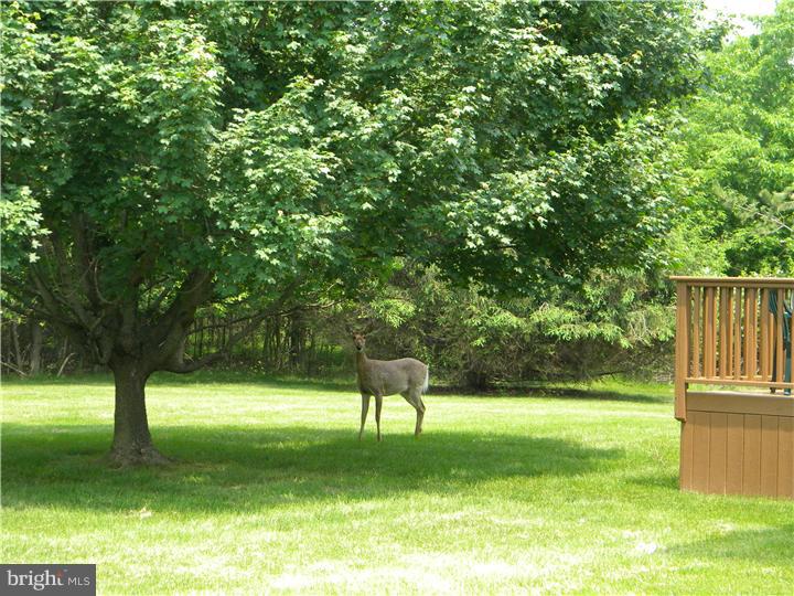 11 Rider Place Princeton Junction, NJ 08550 - Photo 21 of 23 View