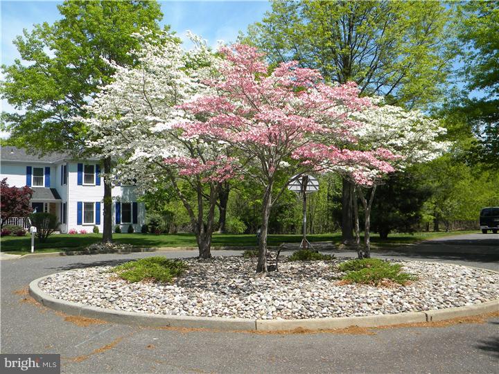 11 Rider Place Princeton Junction, NJ 08550 - Photo 23 of 23 View