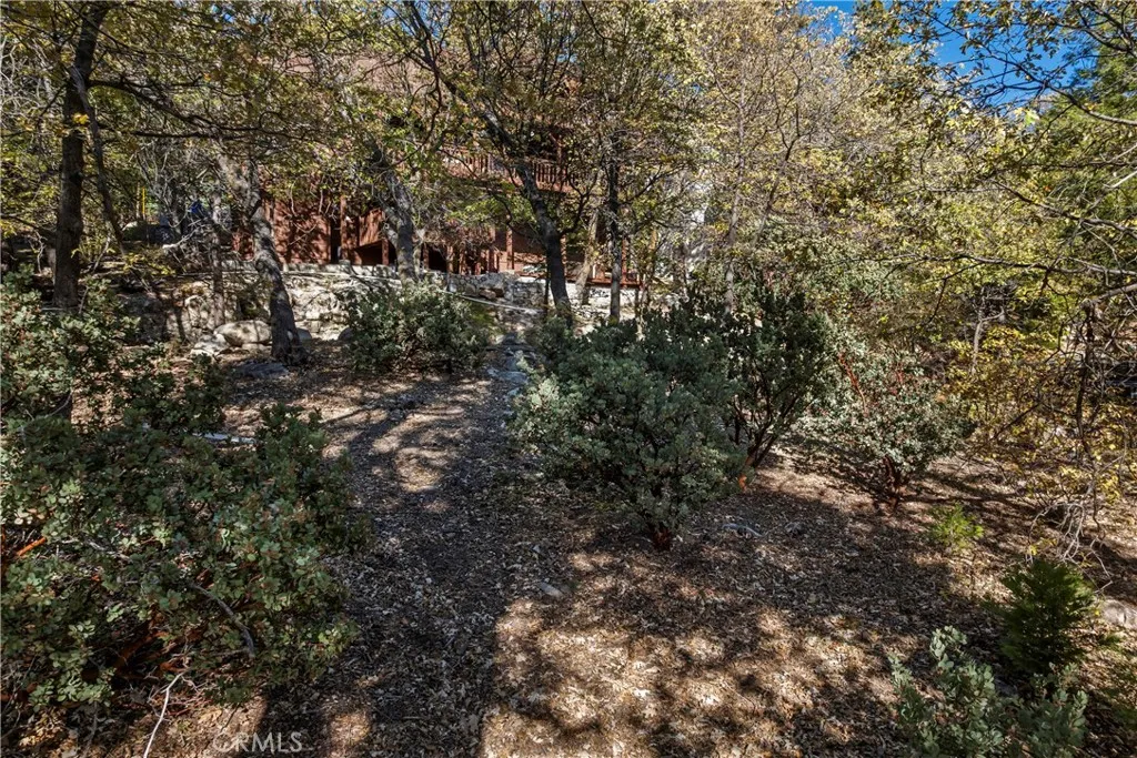 0 Pioneer Road Lake Arrowhead, CA 92352 - Photo 9 of 15