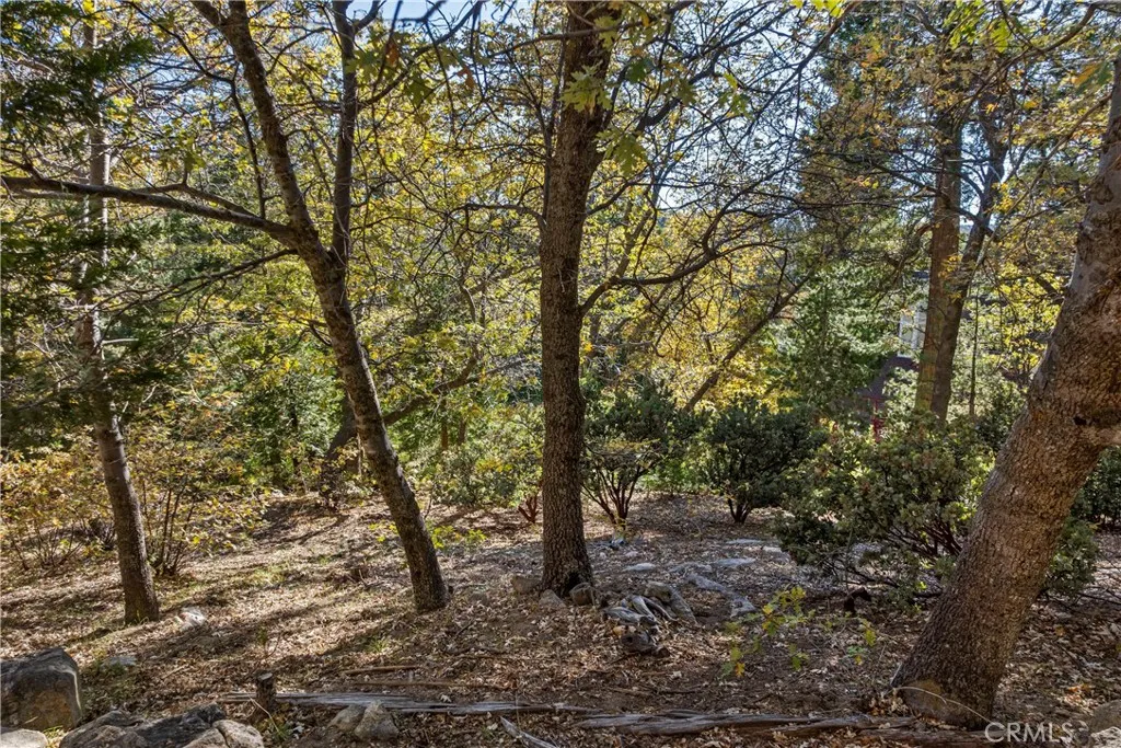 0 Pioneer Road Lake Arrowhead, CA 92352 - Photo 10 of 15