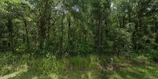 $9,900 | 305 North Fitzpatrick Avenue, Inverness, FL 34453
