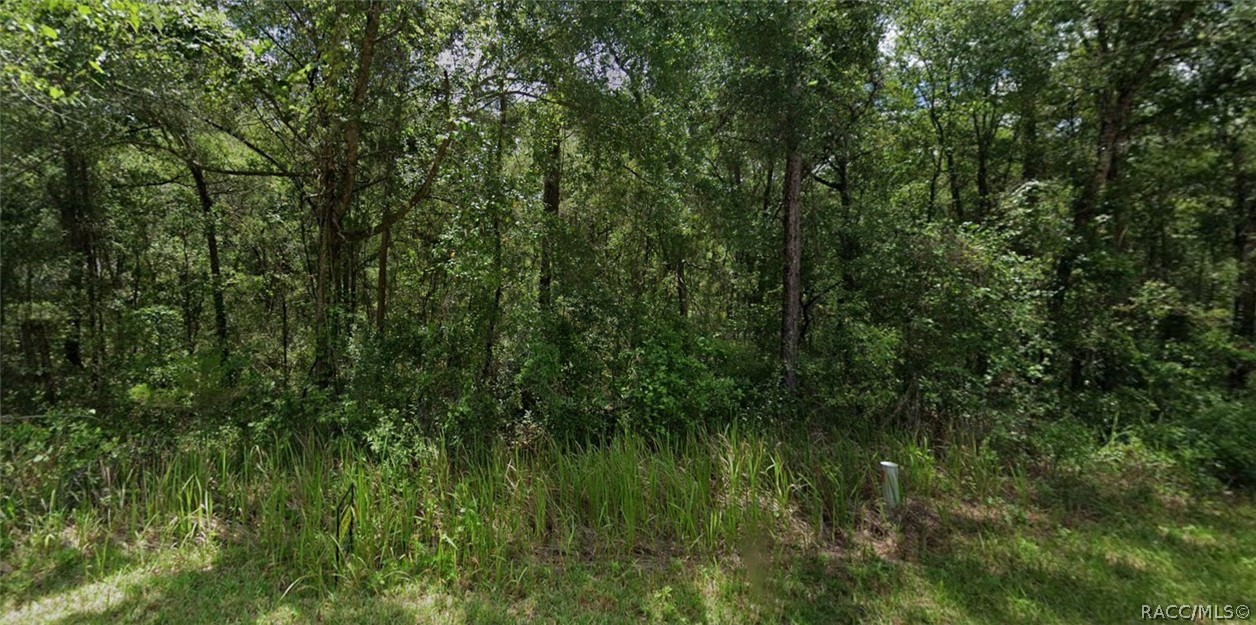 305 North Fitzpatrick Avenue Inverness, FL 34453 - Photo 1 of 2