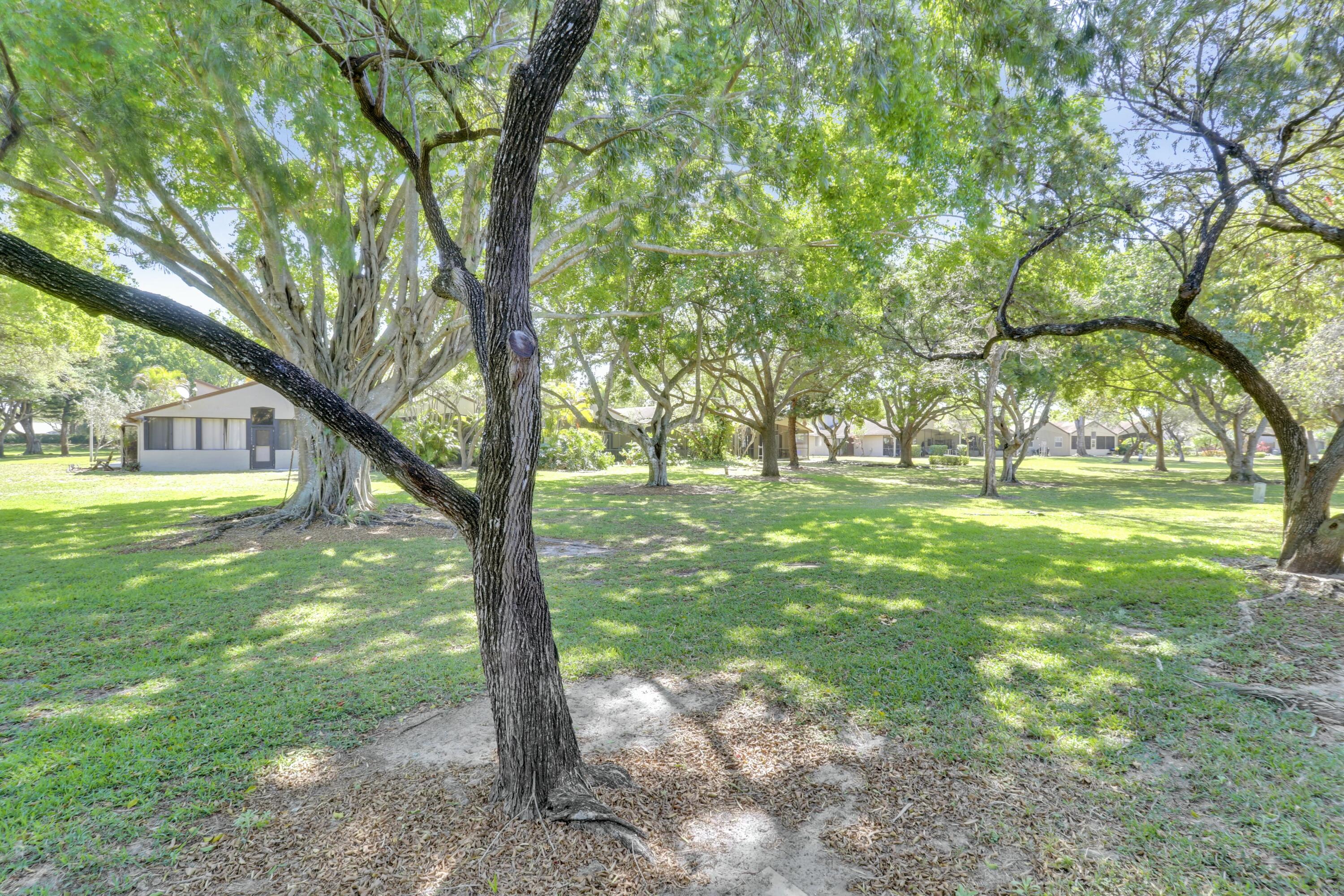22274 Misty Woods Way Boca Raton, FL 33428 - Photo 17 of 42 Greenspace Behind Unit