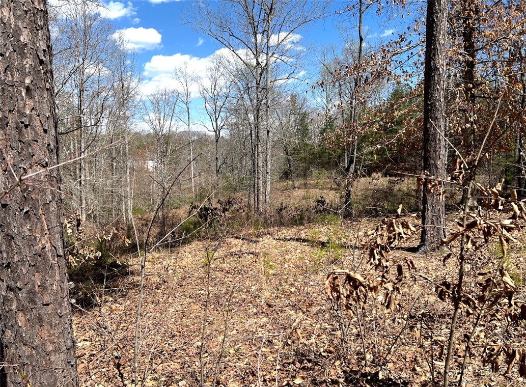 Lot 48 Stardust Lane Seneca, SC 29672 - Photo 11 of 23