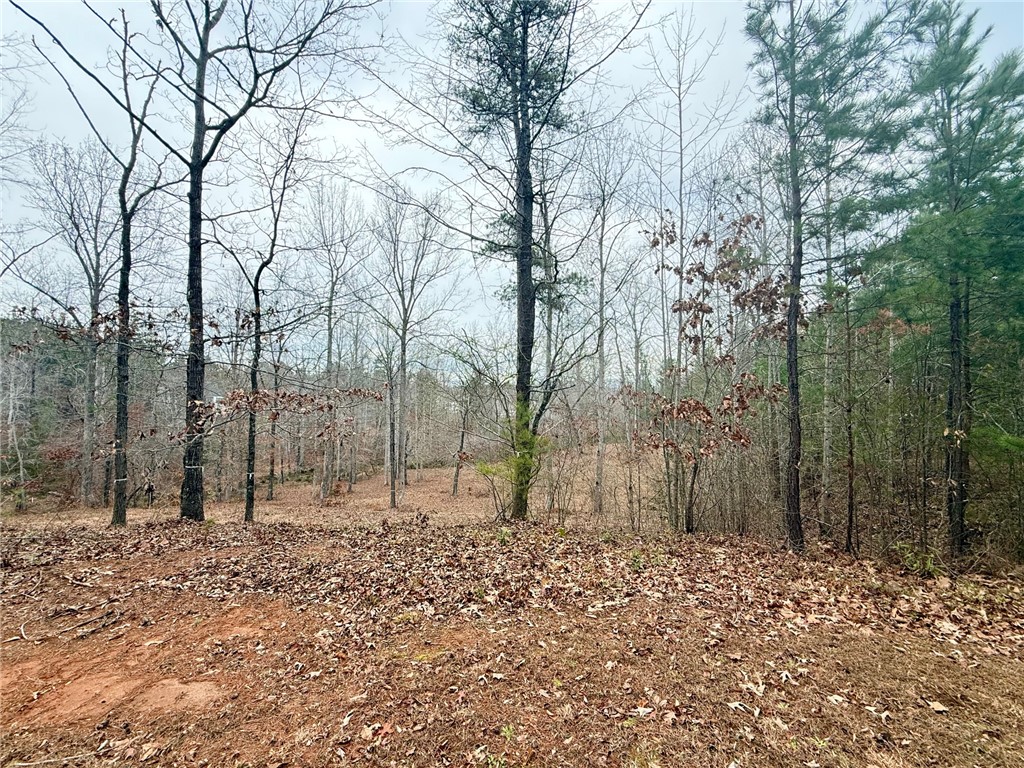 Lot 48 Stardust Lane Seneca, SC 29672 - Photo 12 of 29