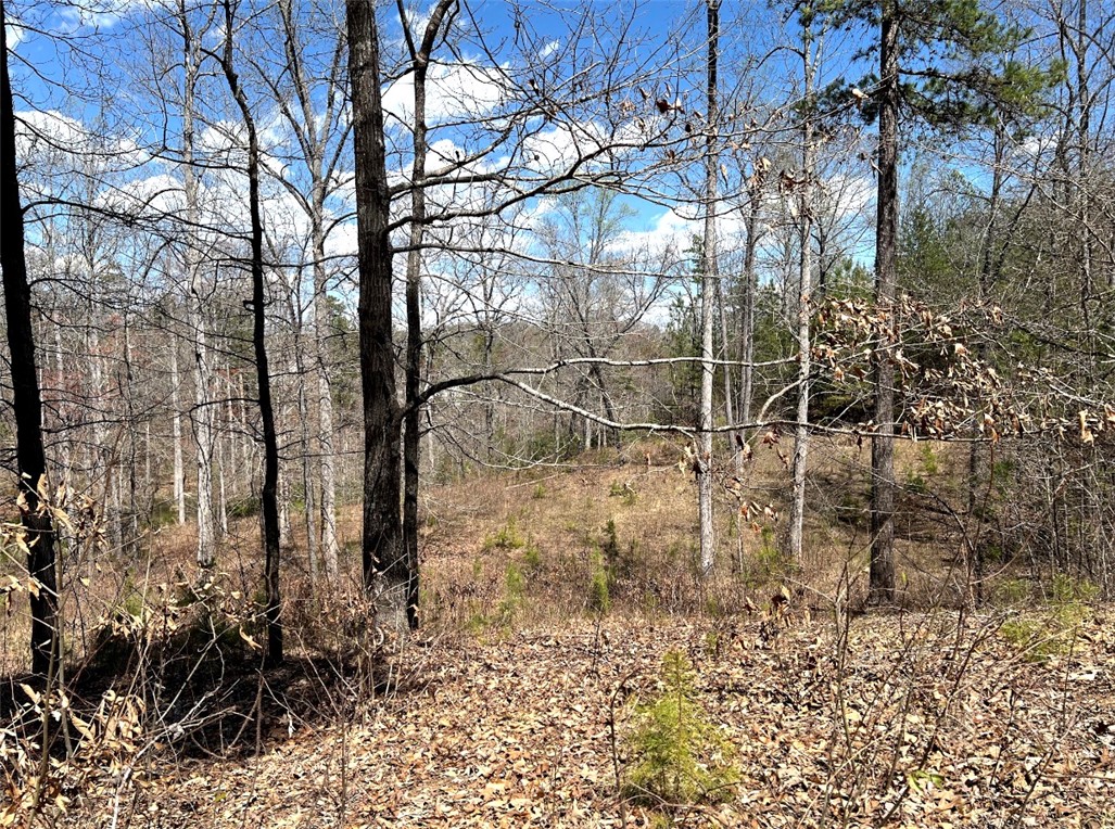 Lot 48 Stardust Lane Seneca, SC 29672 - Photo 17 of 29