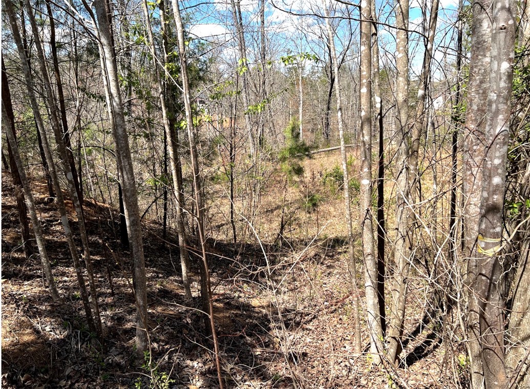Lot 48 Stardust Lane Seneca, SC 29672 - Photo 18 of 29
