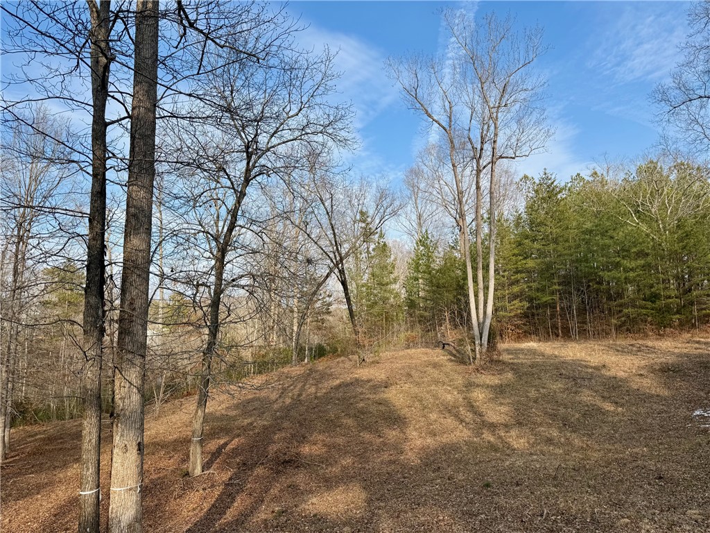 Lot 48 Stardust Lane Seneca, SC 29672 - Photo 20 of 23