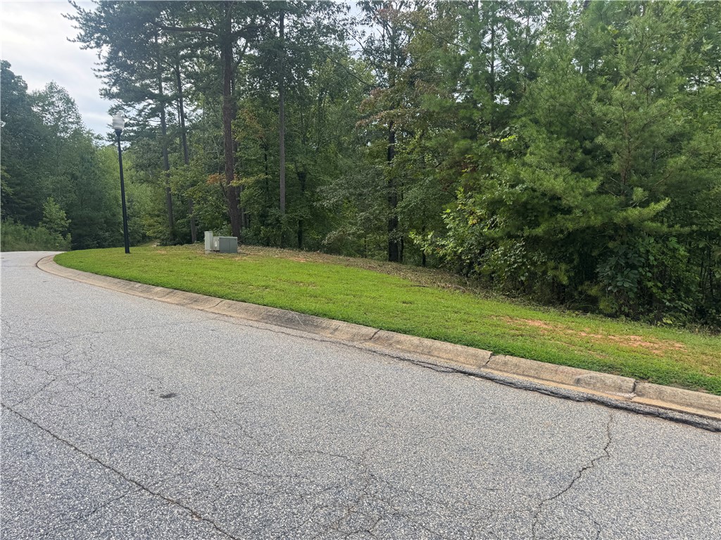 Lot 48 Stardust Lane Seneca, SC 29672 - Photo 2 of 29