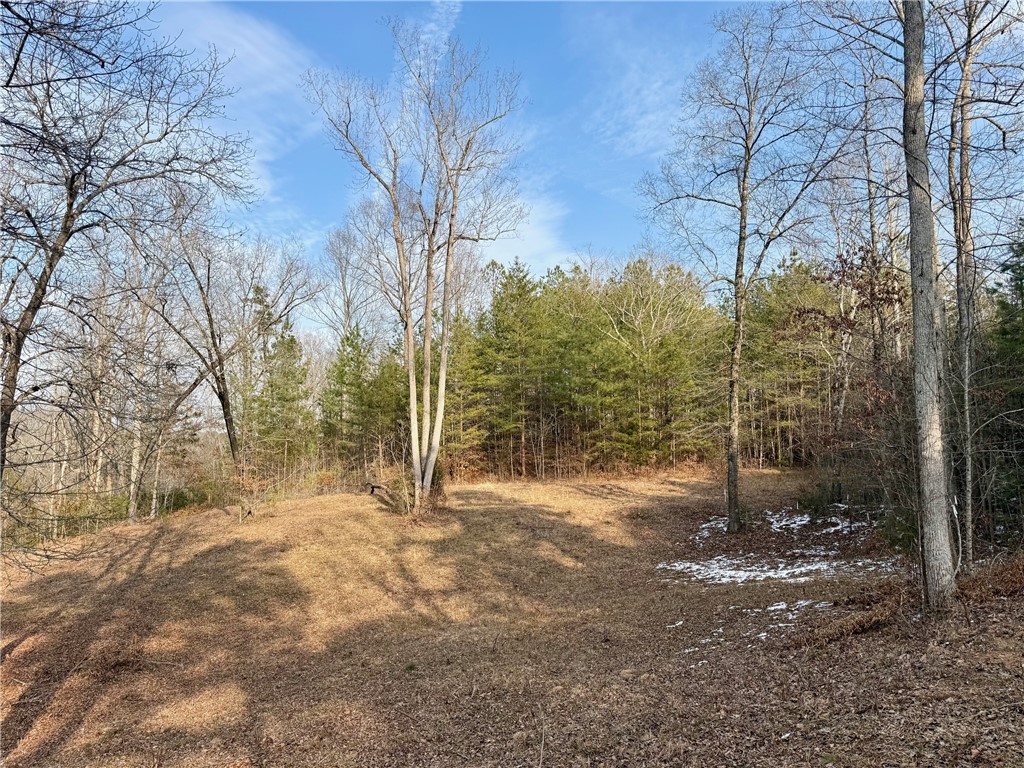 Lot 48 Stardust Lane Seneca, SC 29672 - Photo 21 of 23