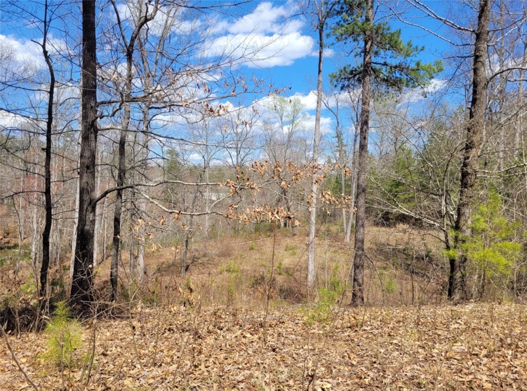 Lot 48 Stardust Lane Seneca, SC 29672 - Photo 22 of 29
