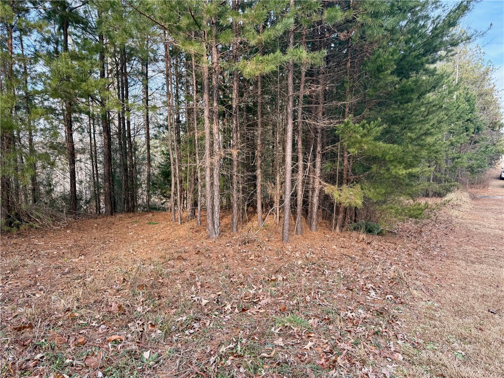 Lot 48 Stardust Lane Seneca, SC 29672 - Photo 23 of 29