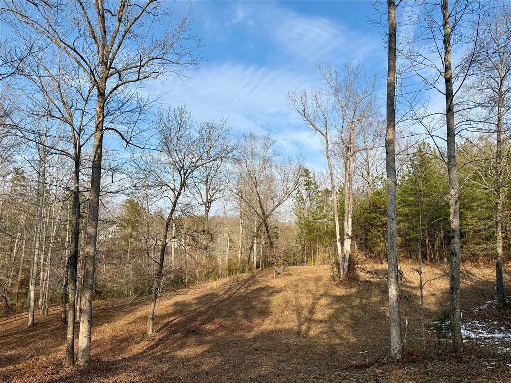 Lot 48 Stardust Lane Seneca, SC 29672 - Photo 24 of 29