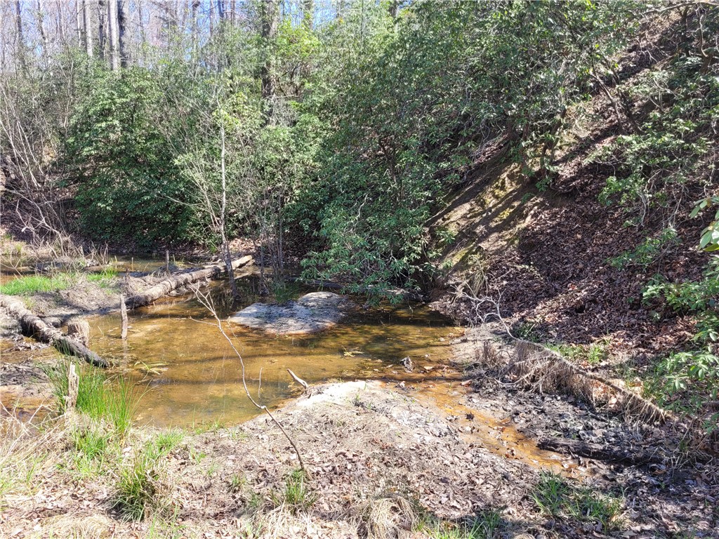 Lot 48 Stardust Lane Seneca, SC 29672 - Photo 29 of 29