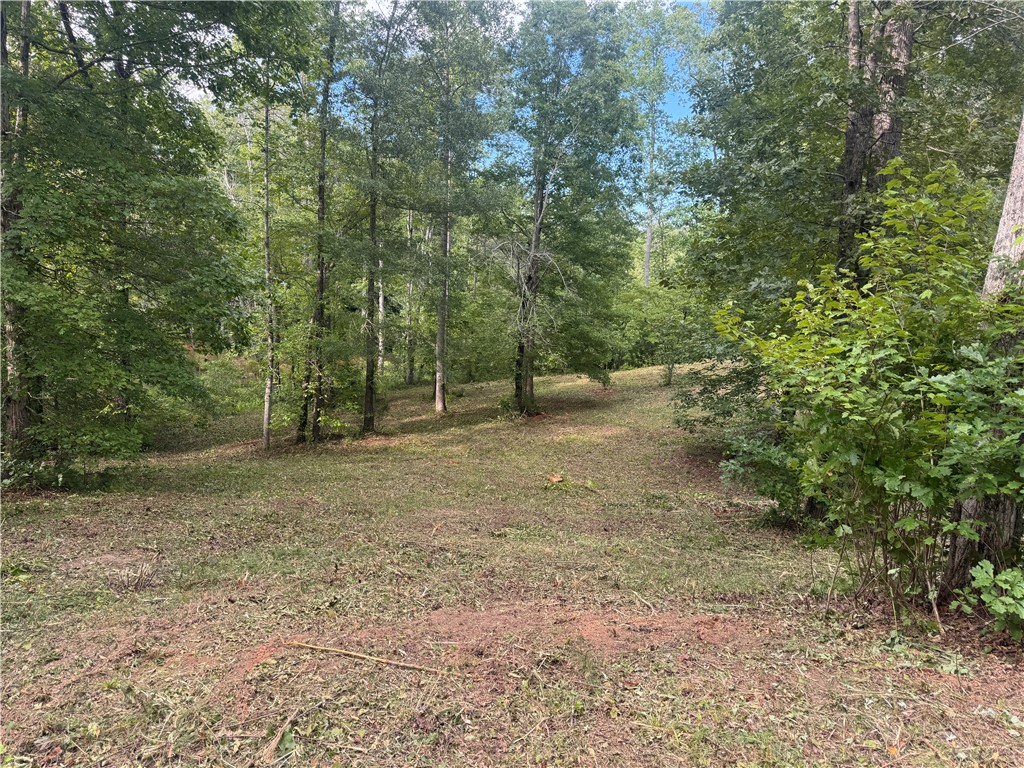 Lot 48 Stardust Lane Seneca, SC 29672 - Photo 3 of 29