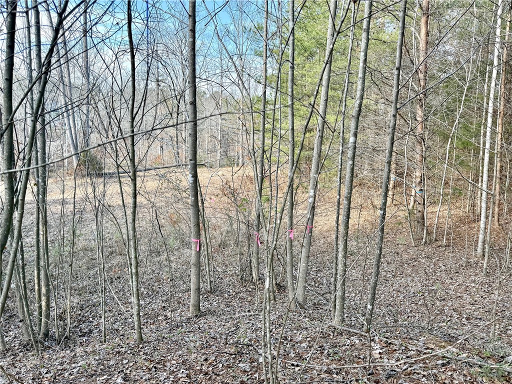 Lot 48 Stardust Lane Seneca, SC 29672 - Photo 3 of 23