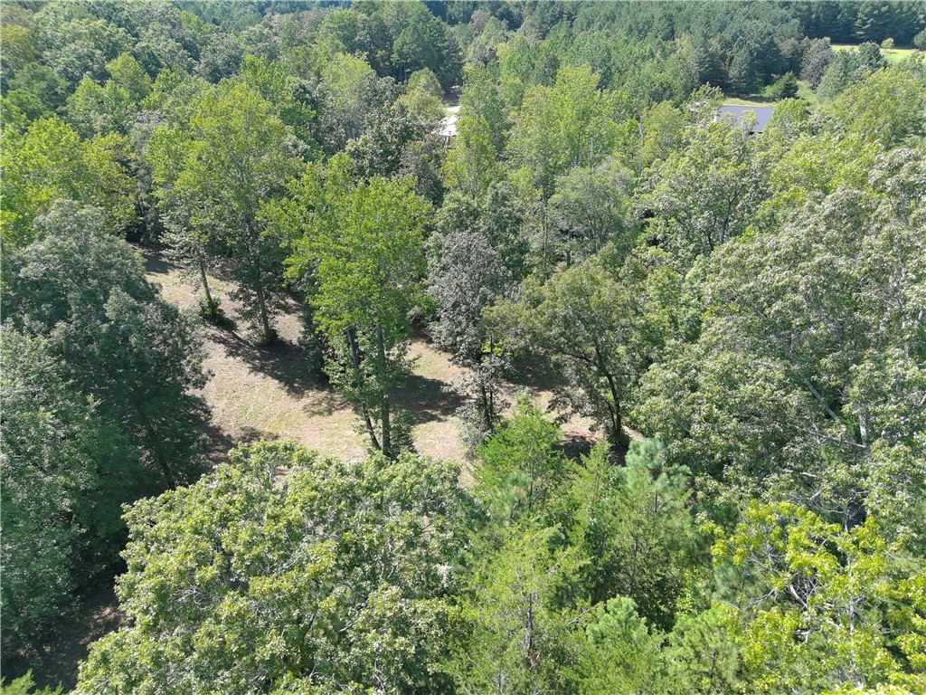 Lot 48 Stardust Lane Seneca, SC 29672 - Photo 4 of 29