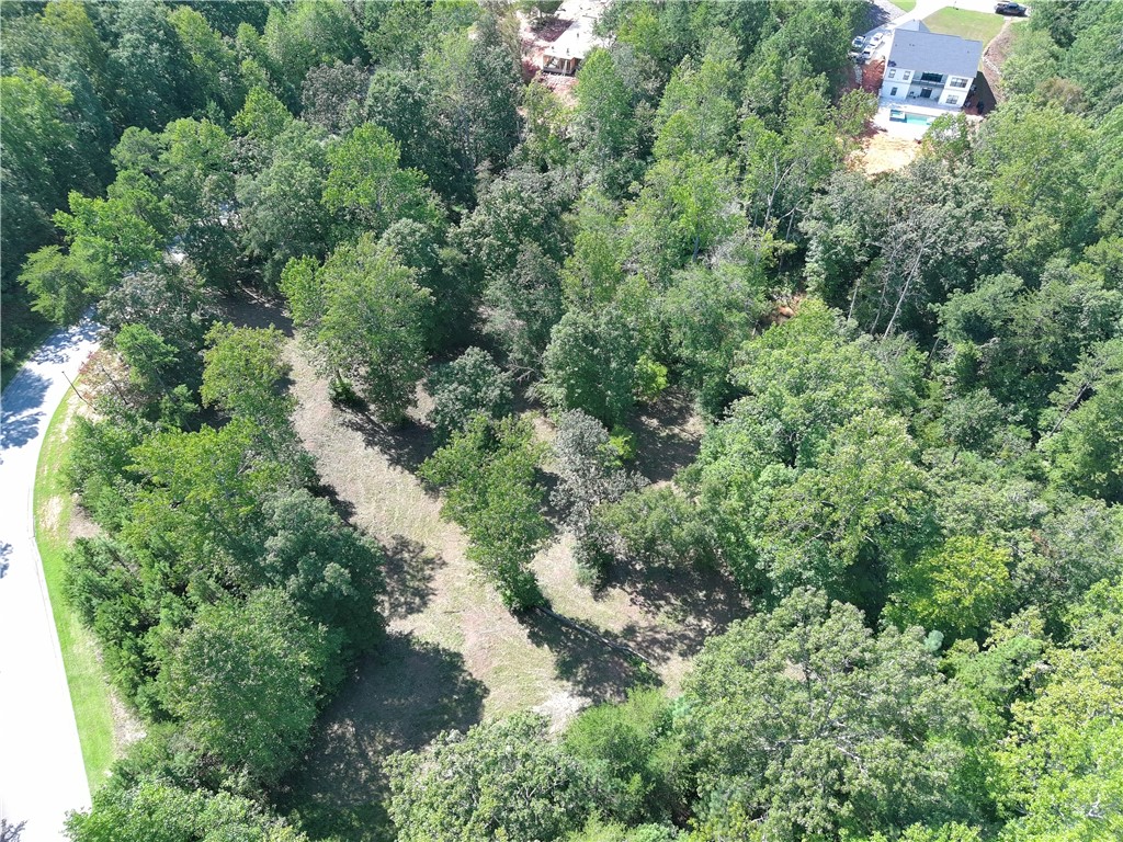 Lot 48 Stardust Lane Seneca, SC 29672 - Photo 5 of 29