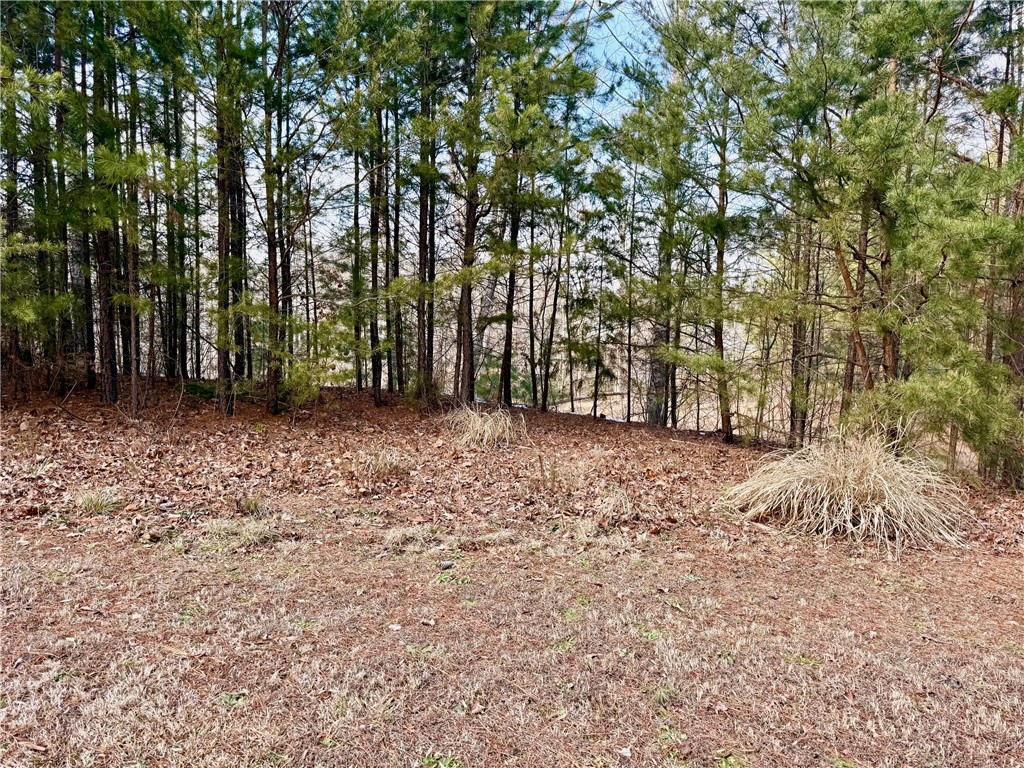 Lot 48 Stardust Lane Seneca, SC 29672 - Photo 5 of 23