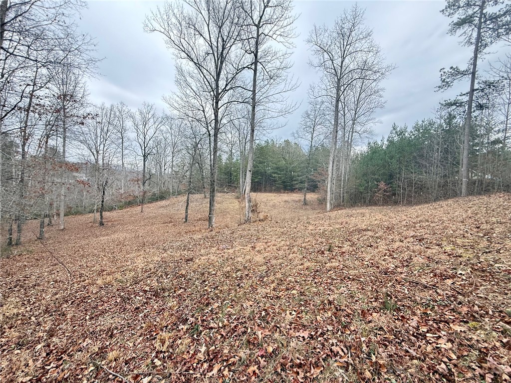 Lot 48 Stardust Lane Seneca, SC 29672 - Photo 9 of 23