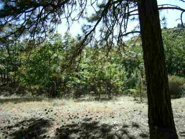 Pythian Cave Road Yreka, CA 96097 - Photo 3 of 4 Gallery Image 3