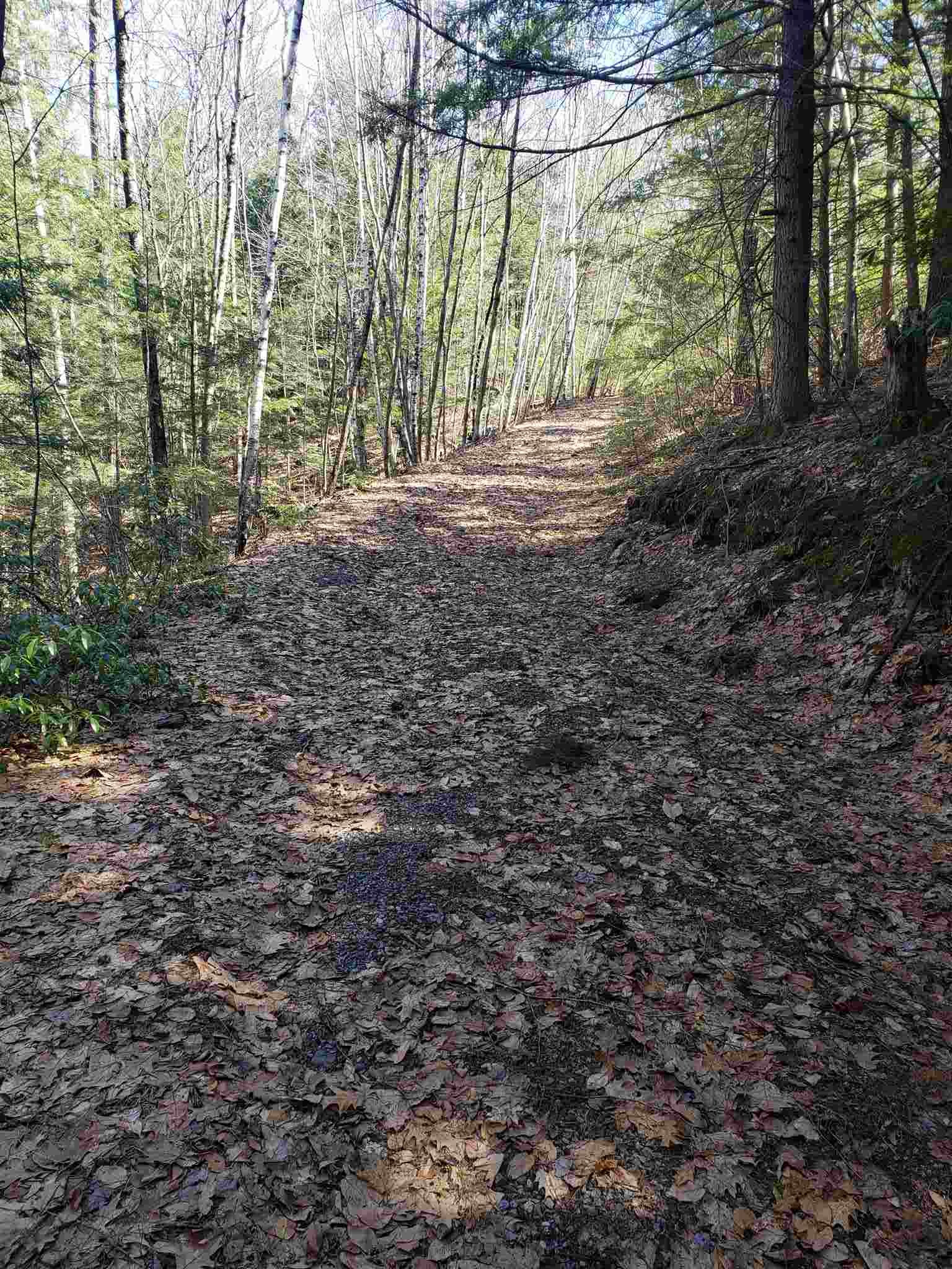 1038 Plain Road Hinsdale, NH 03451 - Photo 22 of 25 Gallery Image 22