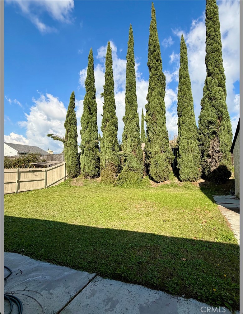 1370 West Jackson Street Rialto, CA 92376 - Photo 16 of 17 Backyard