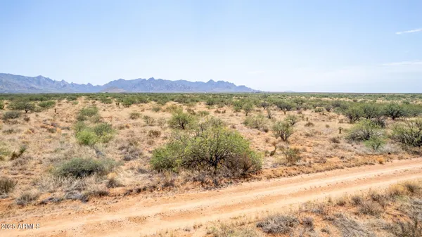 $39,999 | 0 East Cougar Trail, Unit 98, St. David, AZ 85630