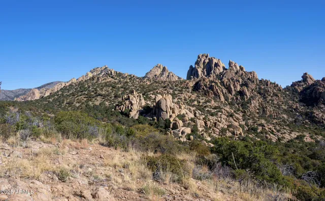 a view of a tree in a field with a tree in the background