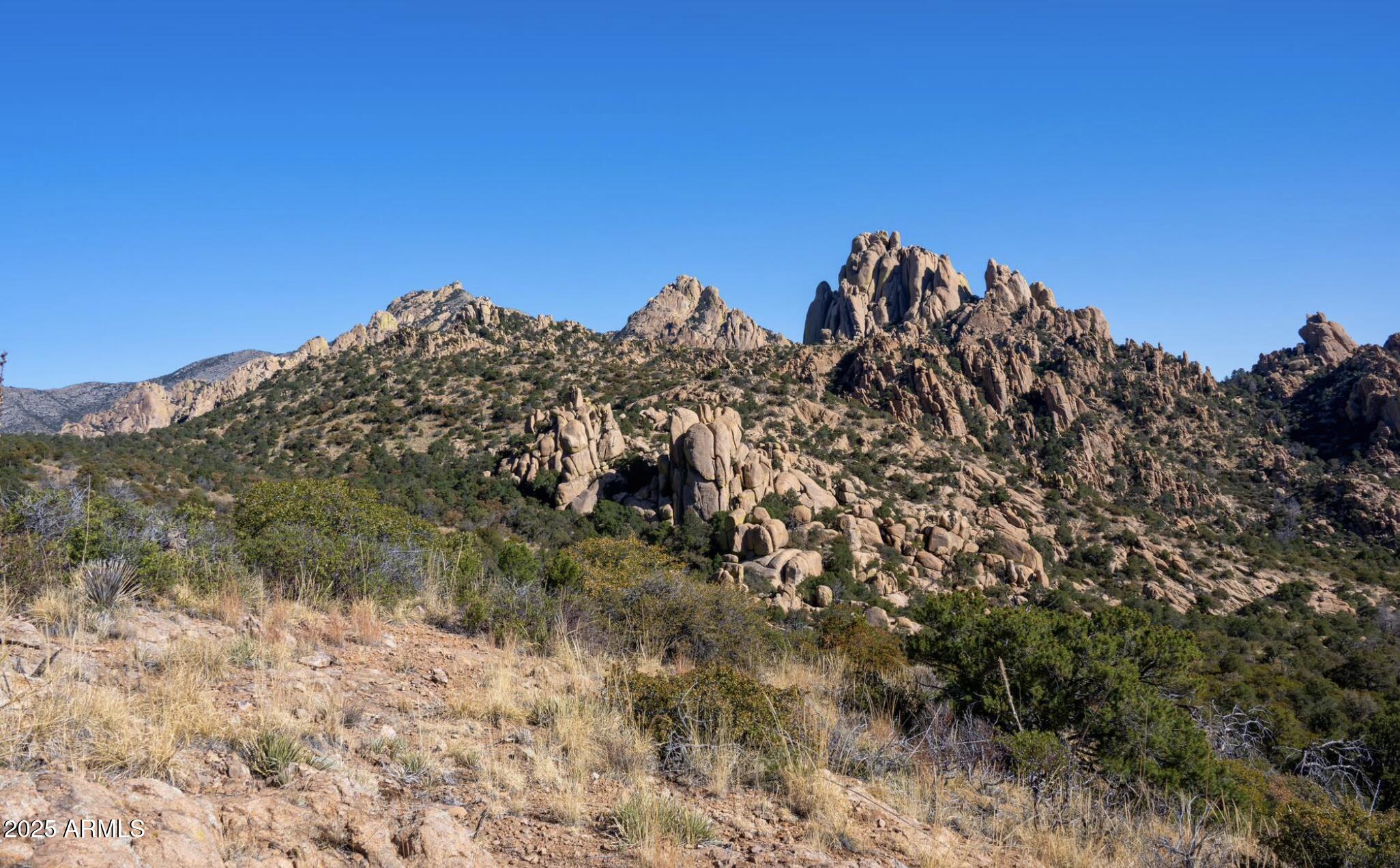 0 East Cougar Trail, Unit 98 St. David, AZ 85630 - Photo 13 of 40 a view of a tree in a field with a tree in the background