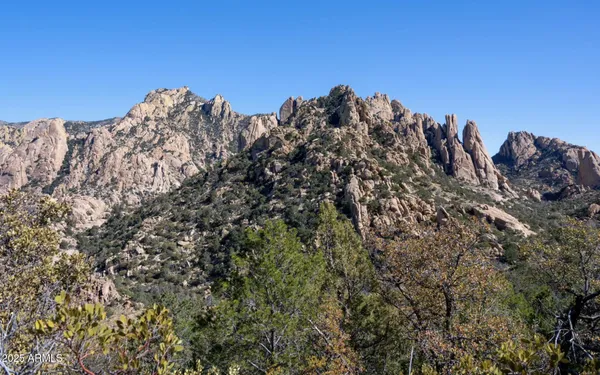 $39,999 | 0 East Cougar Trail, Unit 98, St. David, AZ 85630