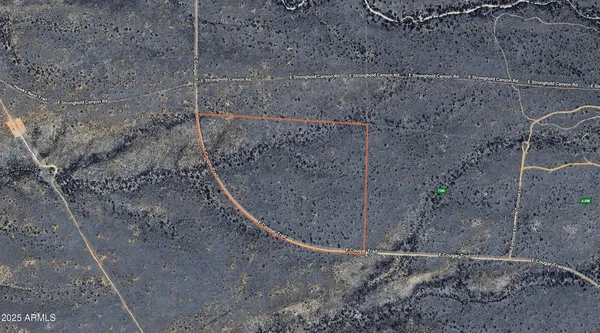 $39,999 | 0 East Cougar Trail, Unit 98, St. David, AZ 85630