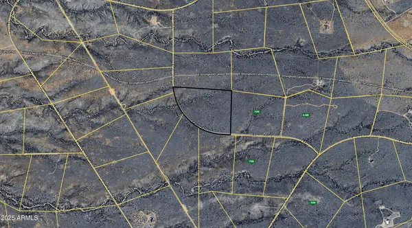 $39,999 | 0 East Cougar Trail, Unit 98, St. David, AZ 85630